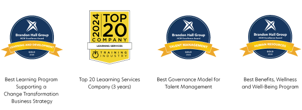 Visual representation of the Brandon Hall Group awards, top 20 U.S. companies, detailing their positions in the market and industry sectors.